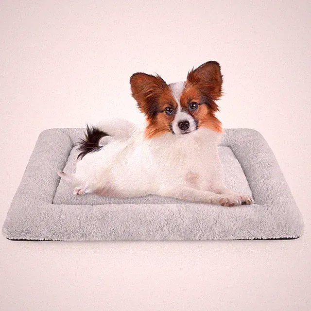 Dog Bed Mat Soft Crate Pad Washable Non-Slip Mattress for Large Medium Small...