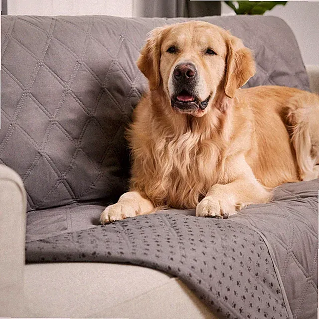 Gorilla Grip 100% Waterproof Dog Blanket 52x82, Pet Friendly Throw Essential...