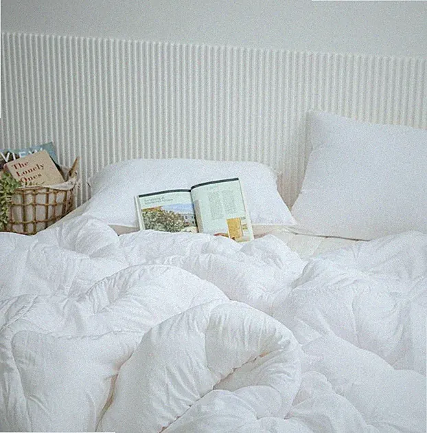 Korean Tencel Modal Comforter All-Season Lightweight Eco Corn Fill Pet Friendly