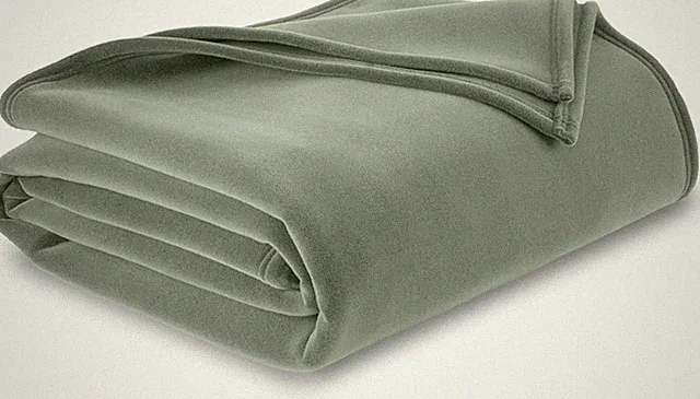 Soft Warm Insulated Blanket Pet-Friendly 2 Pack Queen Size Home Bed Sofa Green