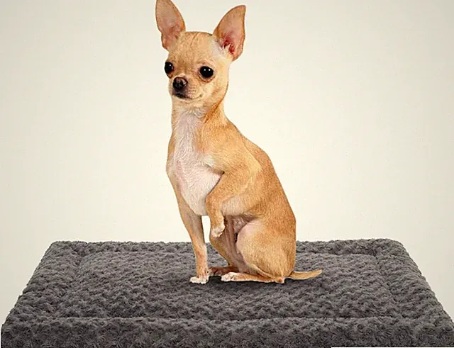 Washable Dog Bed Mat Crate Pad Soft Fluffy Pet Kennel Beds Dog Sleeping Mattress