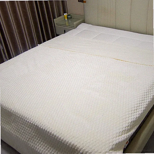 Water Resistant Blanket for Bed, 80"X90" Leakproof & Pet Friendly - King Size Wa