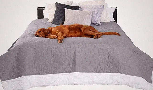 Waterproof & Non-Slip Full Size Mattress Cover Protector for Dogs & Cats, Washab