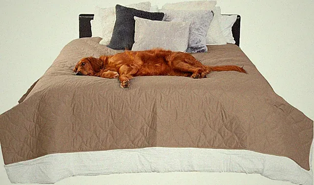 Waterproof & Non-Slip King Size Mattress Cover Protector for Dogs & Cats, Washab