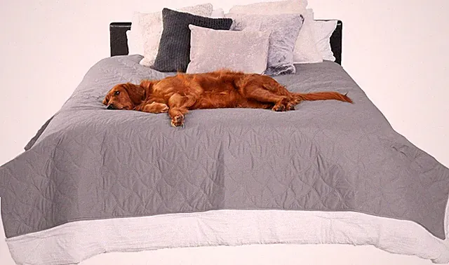 Waterproof & Non-Slip Queen Size Mattress Cover Protector for Dogs & Cats, Washa